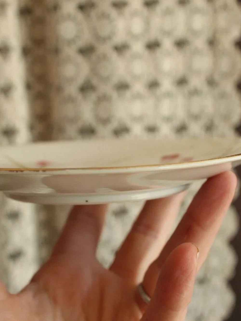 Vintage Antique 1900s Plate, 6